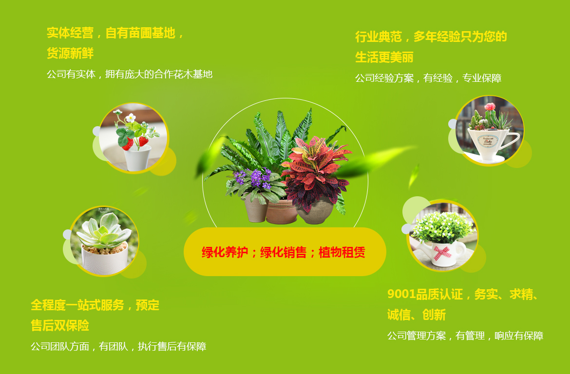選擇我們的6大優(yōu)勢(shì)